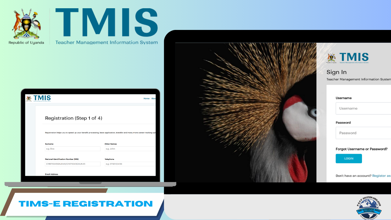 TMIS (Teacher Management InformationSystem) e-Registration